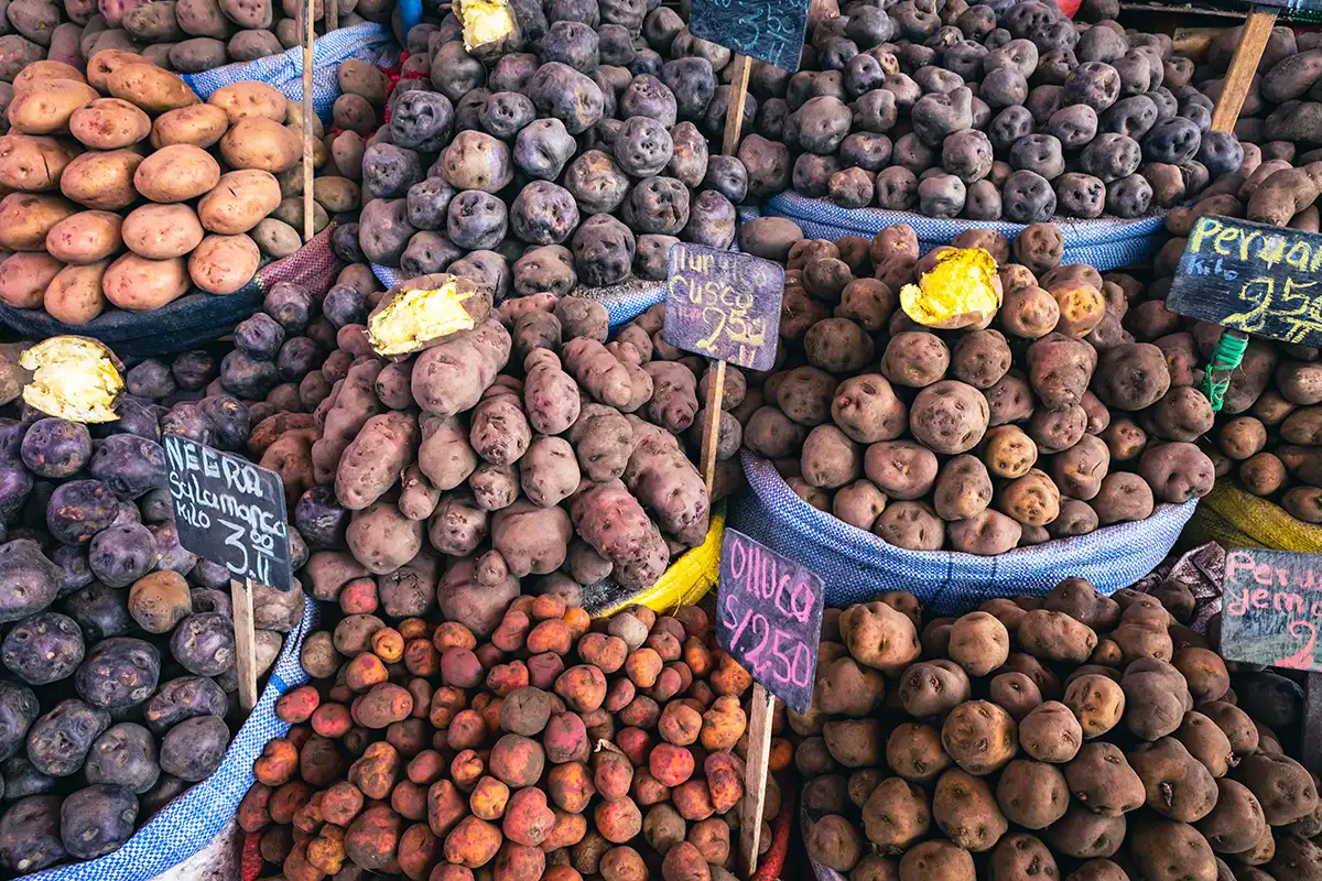 Dussintals inhemska peruanska potatisvarianter — lila, vinröda, gula och rosa — staplade i marknadslådor med handskrivna prislappar.